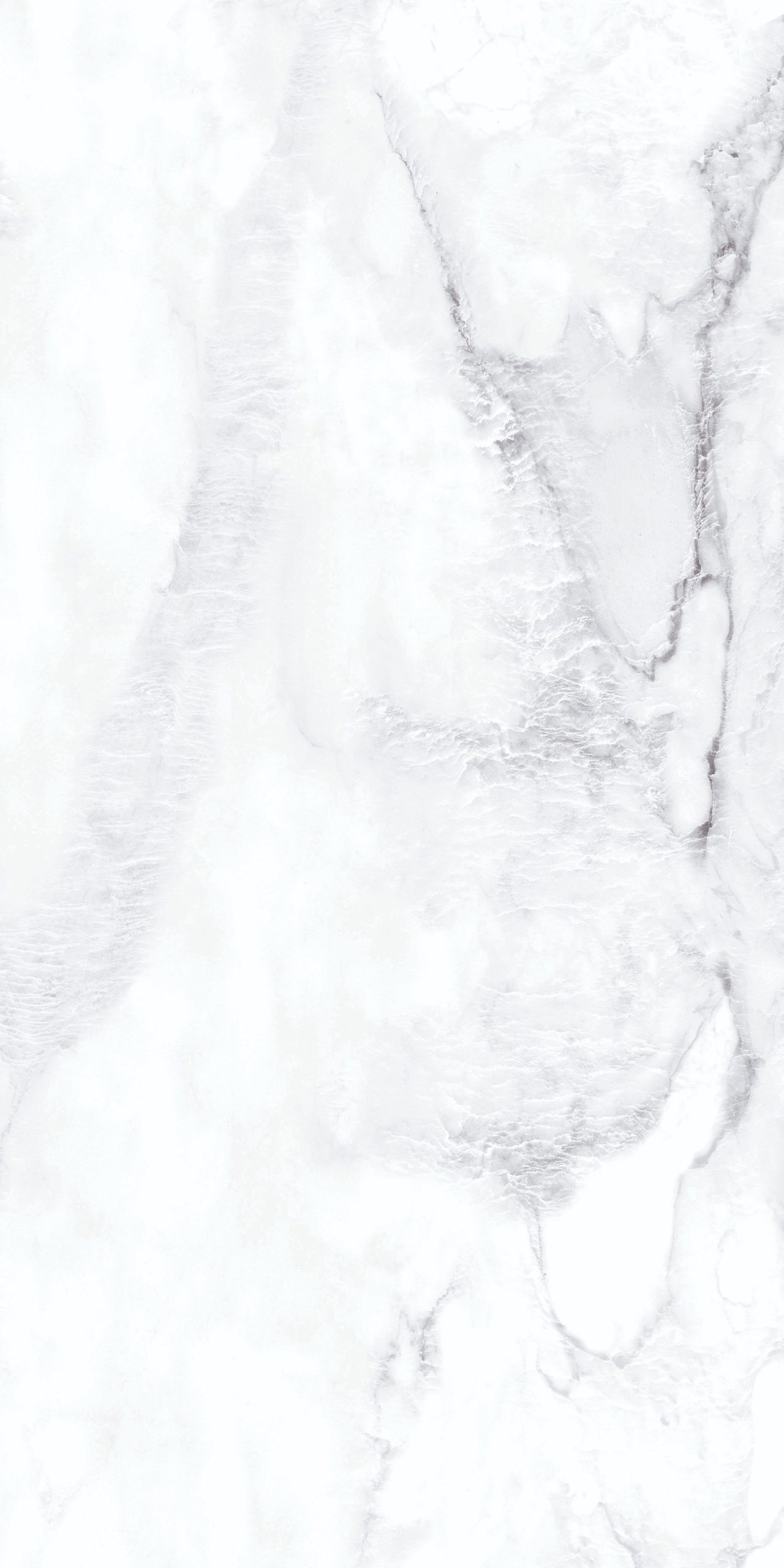 z4568512778189_93d141c378907b4faaf0bf6dd1337229 z4568512778189 93d141c378907b4faaf0bf6dd1337229 scaled