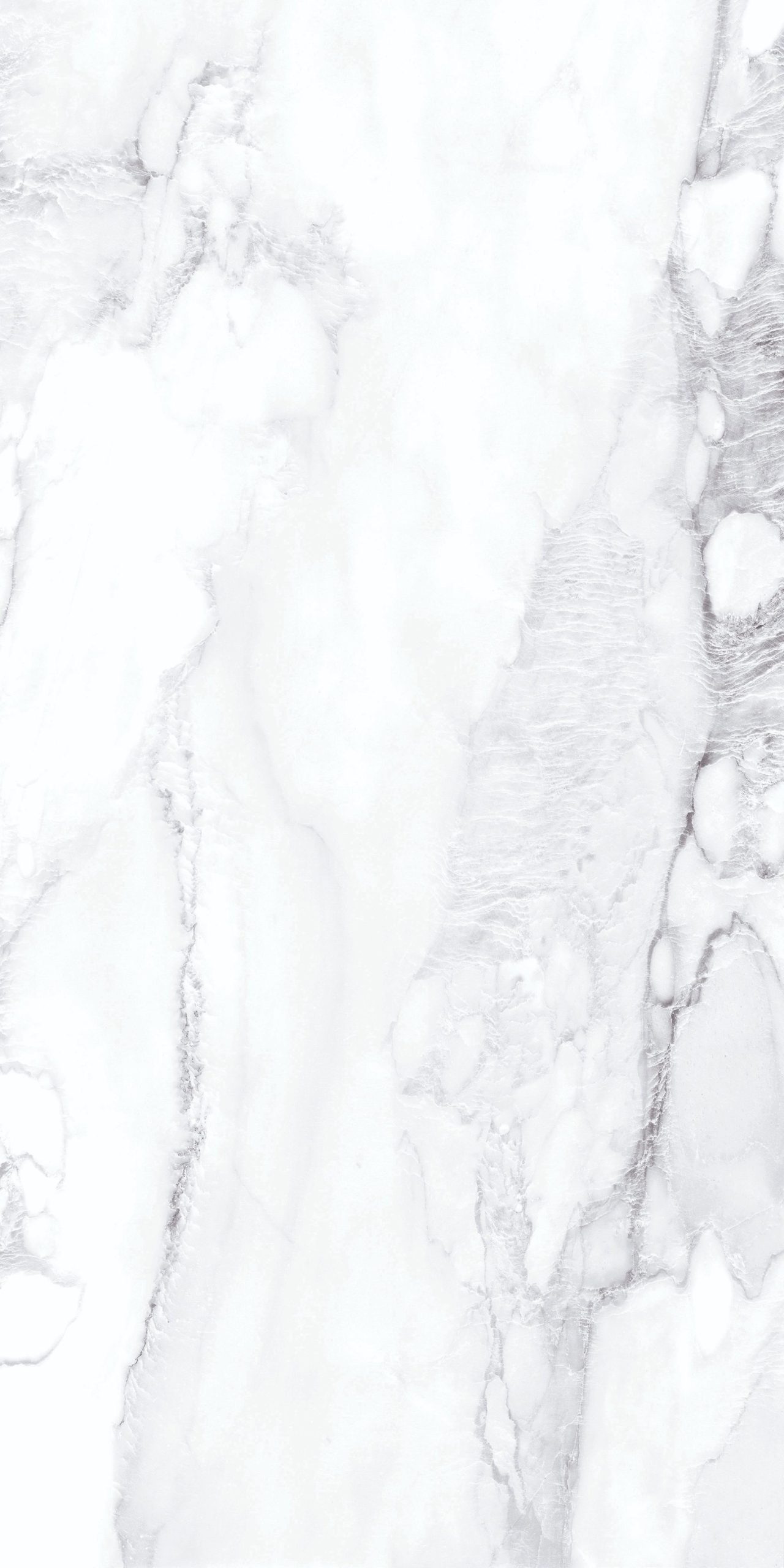 z4568512918770_40e161467adfadc1c4bb22f7ab634b35 z4568512918770 40e161467adfadc1c4bb22f7ab634b35 scaled