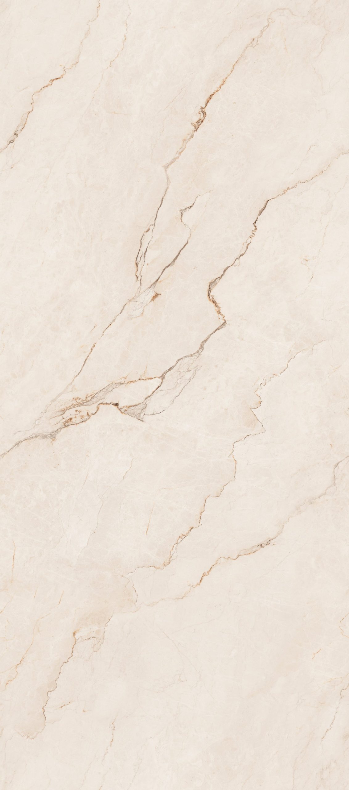 z4568513416216_03c2e44a96fa6978e84e6a03232f1da8 z4568513416216 03c2e44a96fa6978e84e6a03232f1da8 scaled