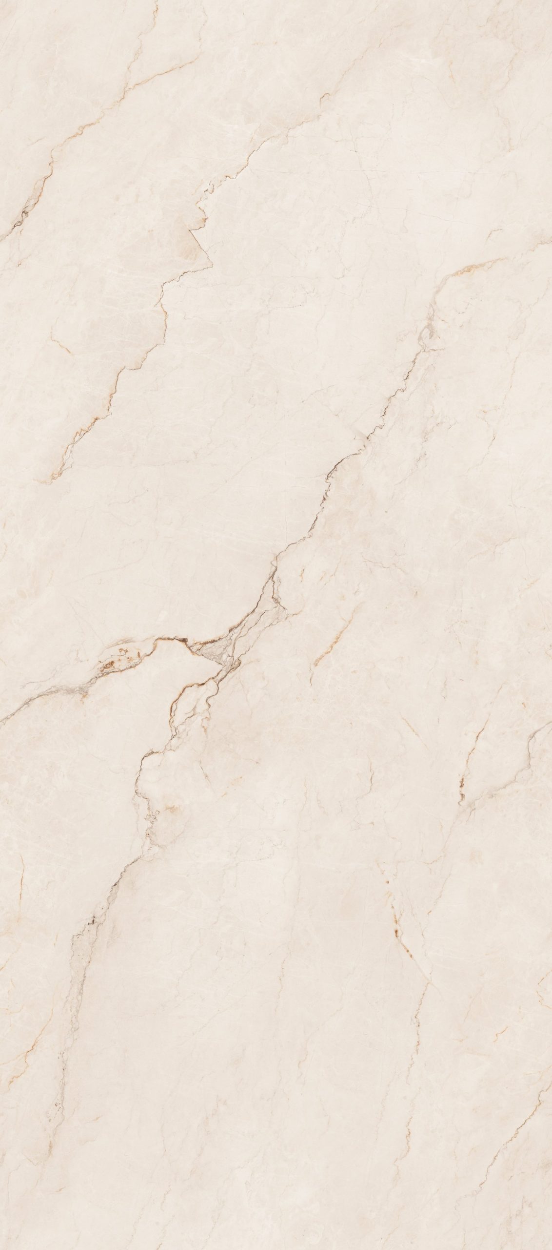 z4568513862984_5b4efed265d34a60253c34dfe35138c9 z4568513862984 5b4efed265d34a60253c34dfe35138c9 scaled