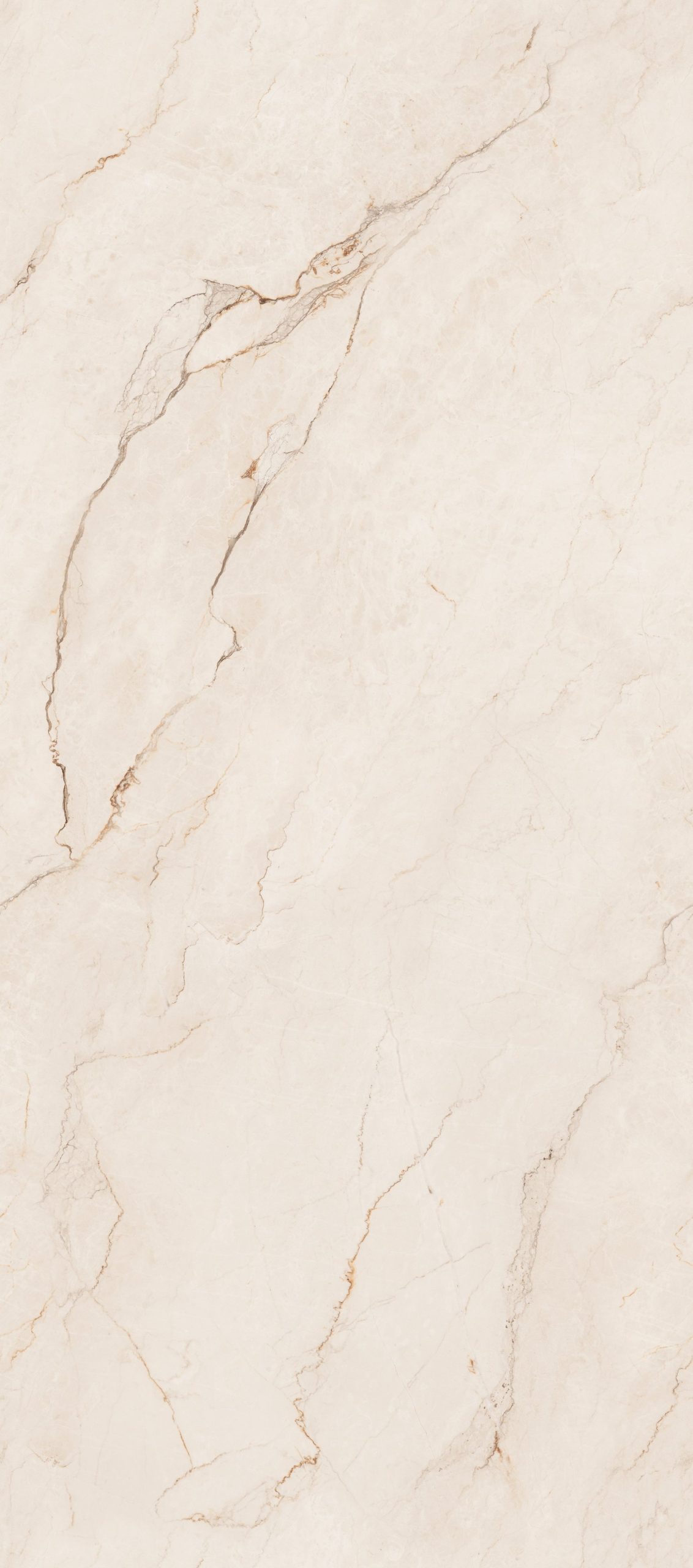 z4568514146607_a849569ce0871a2e03a21a4d2f1f07f1 z4568514146607 a849569ce0871a2e03a21a4d2f1f07f1 scaled