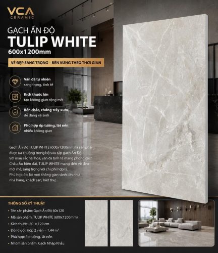 Gạch Ấn Độ TULIP WHITE 60×120cm – Vẻ đẹp tinh tế cho mọi không gian 3 732036090 1025404606909610 1478351305355310058 n